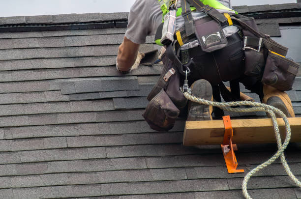Best Roof Gutter Cleaning  in Staunton, VA